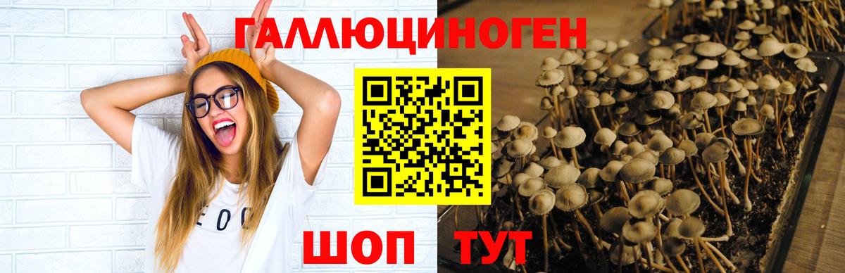Галлюциногенные грибы MAGIC MUSHROOMS Архангельск