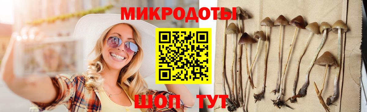 Псилоцибиновые грибы прущие грибы  купить наркотик  Архангельск  Вход с VPN  Галлюциногенные грибы мицелий 